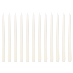 Mega Candles - 12 pcs 12" Unscented Taper Candle in White Box - Off White